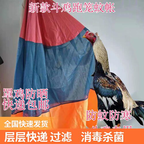 斗鸡蚊帐 斗鸡防寒用品 斗鸡防寒蚊帐 斗鸡训练用品 泰国斗鸡用品 - 图0