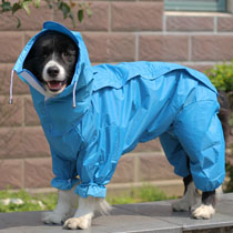 狗狗雨衣全包露腹中大型犬泰迪比熊金毛萨摩宠物连体四脚衣服雨衣 - 图1