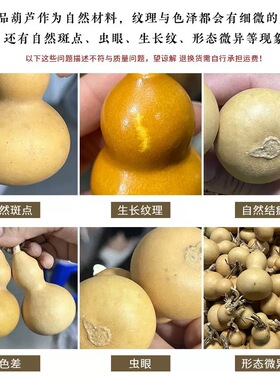多宝葫芦手串白玉菩提椰壳咖啡豆手作文玩饰品摆摊新款手链
