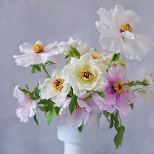 油画牡丹鲜花花束新鲜真花室内水培植物家用插花云南直发牡丹花 - 图2