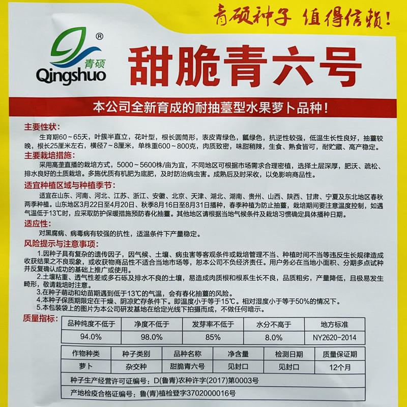 生吃青绿肉潍县沙窝高糖甜脆水果萝卜种子庭院盆栽秋冬蔬菜种籽孑-图2