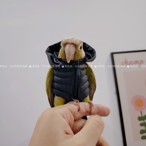 鹦鹉羽绒服鸟衣服鹦鹉棉外套玄凤加厚保暖外出服鹦鹉用品鸟用品 - 图0