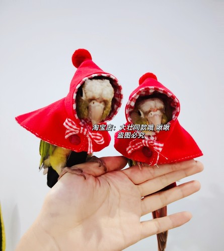 薄款小红帽 鸟衣服鹦鹉披风玄凤春款外出服拍照斗篷包邮 - 图3