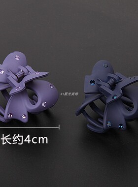 蝴蝶抓夹女磨砂发夹头饰