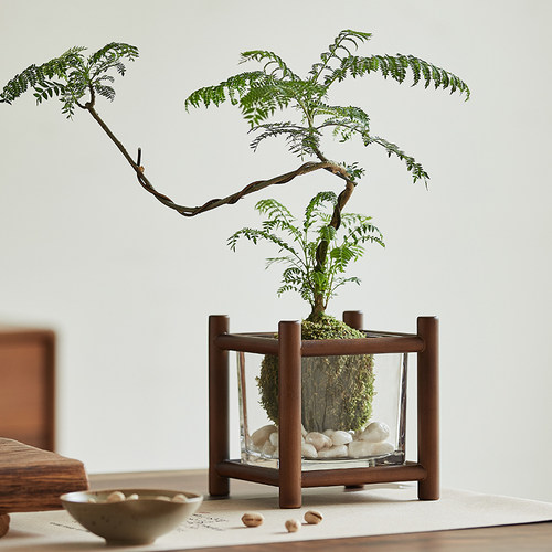 茶室装饰花几桌面迷你水培植物固定架多层茶杯架茶具收纳展示架子 - 图0
