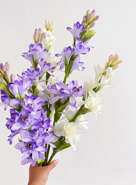 高档重瓣晚香玉仿真花玉簪花家居插花玄关装饰摆设花婚庆白色花材