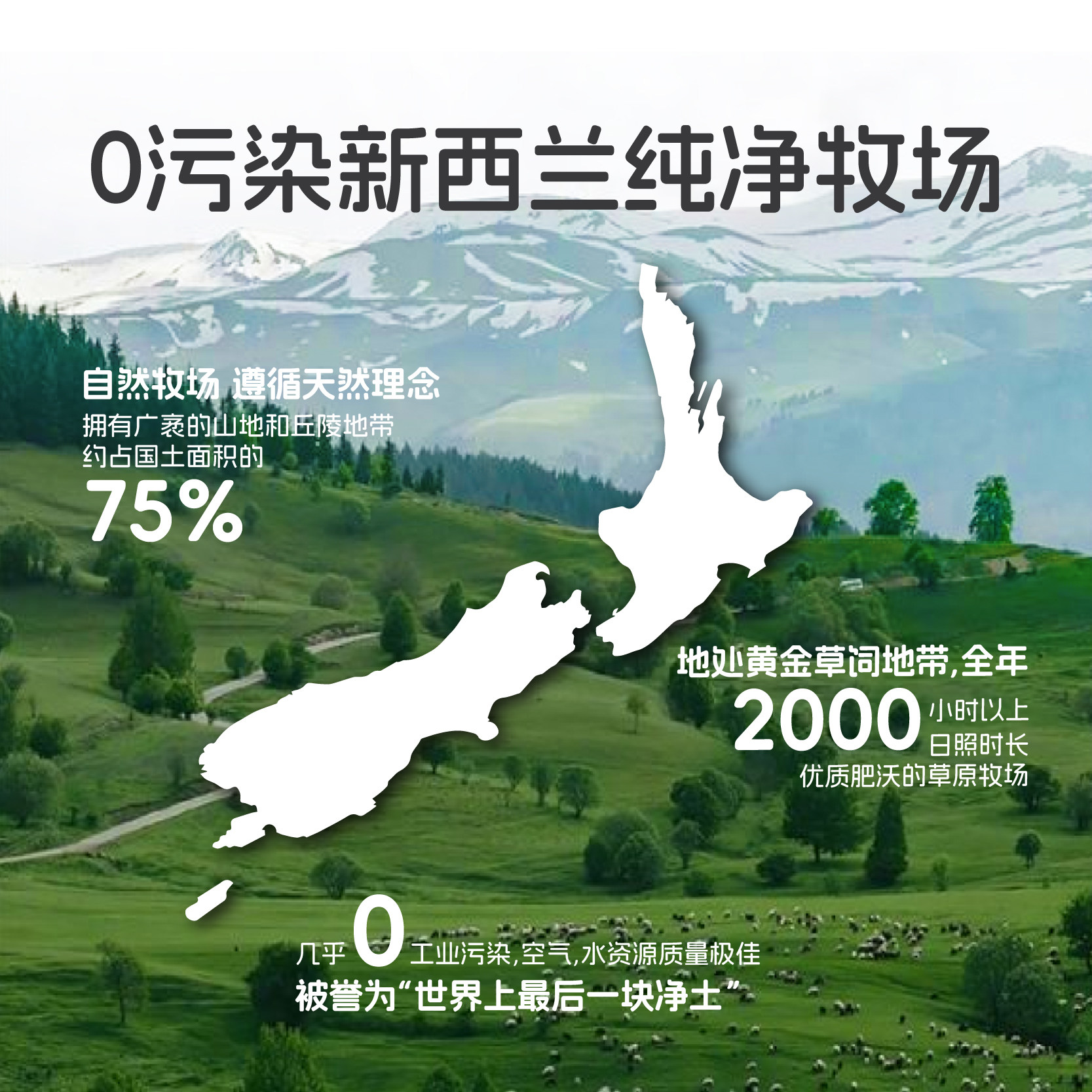 自营新西兰进口宠物冻干青口贝猫狗零食磨牙棒幼犬小型护关节美毛,淘宝优惠券,粉丝福利购,淘宝优惠卷