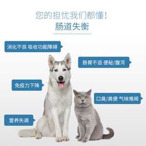 PET INN BOTH活菌益生元BIO-V猫狗整肠生300g宠物调理胃肠保健品