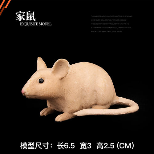 儿童动物玩具仿真实心认知鼠牛虎兔龙蛇马羊狗鸡狗猪十二生肖模型 - 图2