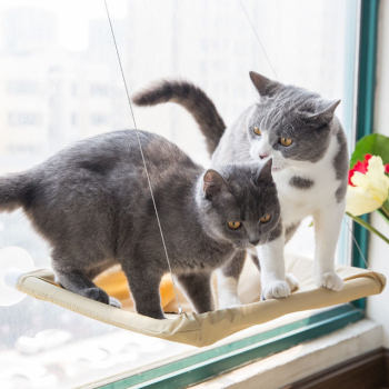 cat hammock hanging nest suction cup swing swing basking in the sun hammock window sill glass hanging bed ອຸ​ປະ​ກອນ cat