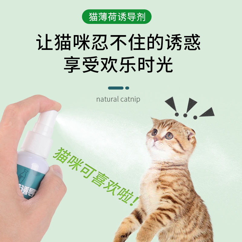 猫薄荷喷雾猫咪快乐水逗猫自嗨神器猫酒猫零食吸引猫草诱导剂喷剂 - 图0