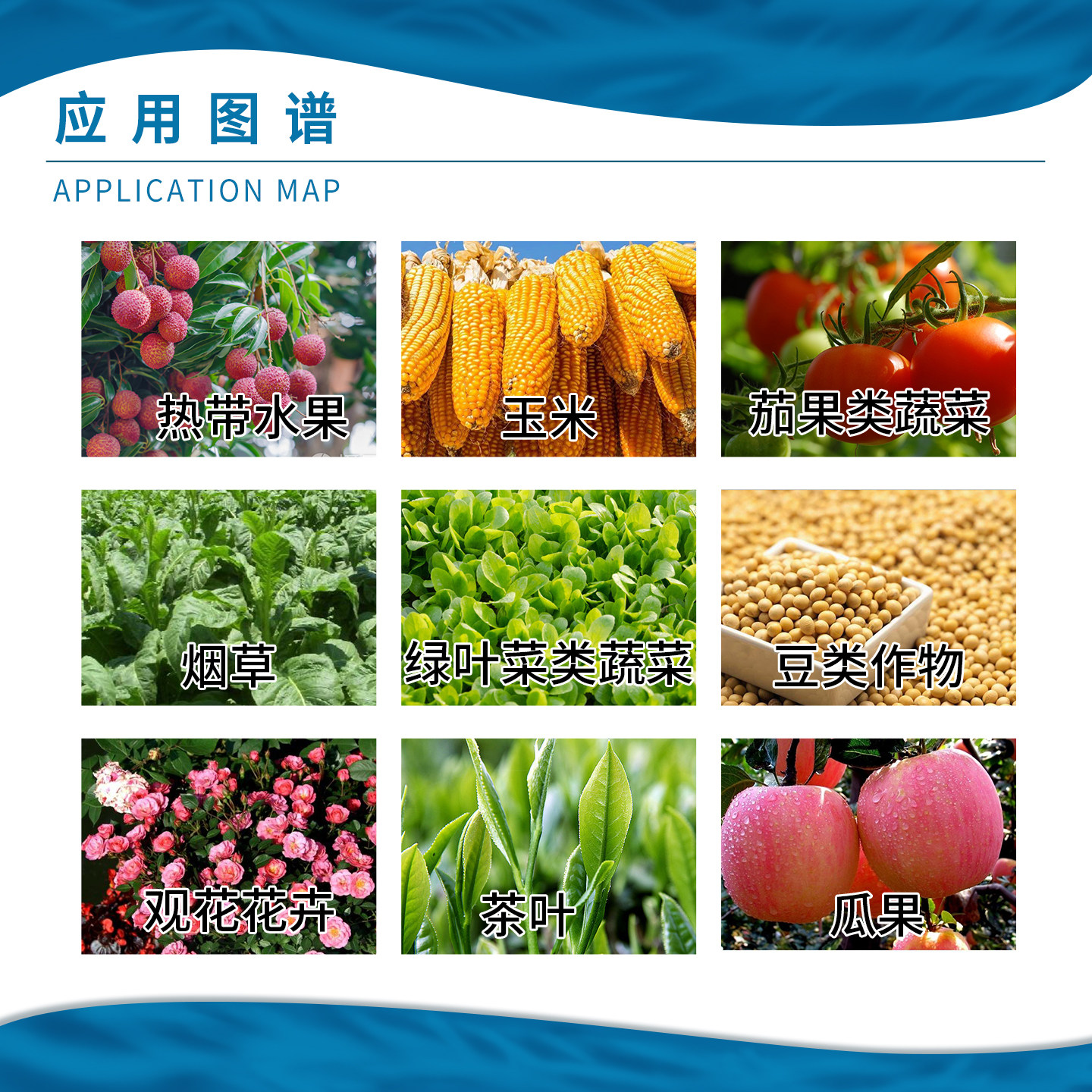 瓦拉格罗 钙必得 预防缺钙木质素磺酸钙中量元素水溶肥水剂肥料1L,淘宝优惠券,粉丝福利购,淘宝优惠卷