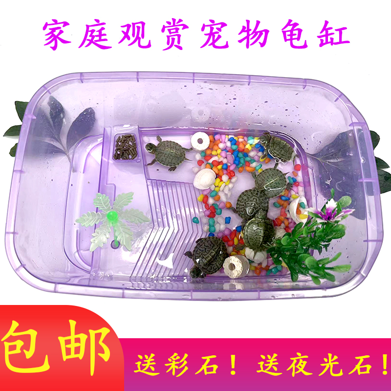 家庭观赏乌龟缸带晒台露台水龟金龟缸龟箱塑料透明缸乌龟活体养龟,淘宝优惠券,粉丝福利购,淘宝优惠卷