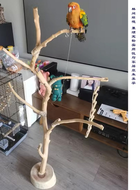 杈鹦鹉站架落地宠物用品侘寂风