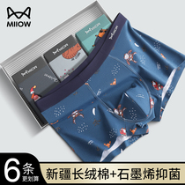 Cat mans underwear boy pure cotton 100% full cotton stall four-corner shorts head antibacterial and breathable flat corner pants male section