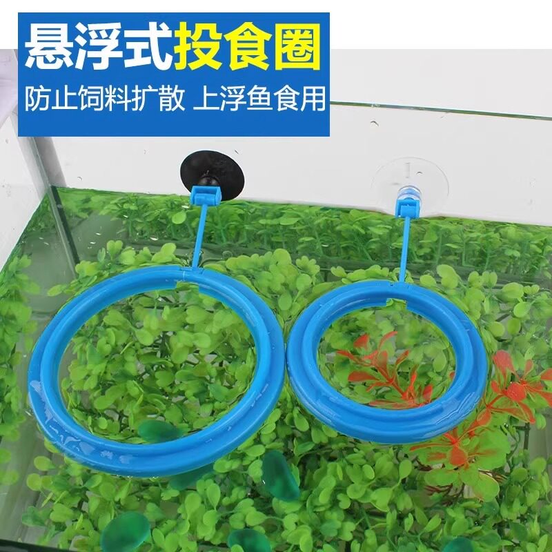 Fish tank feeding circle to prevent small shrimps from flying away