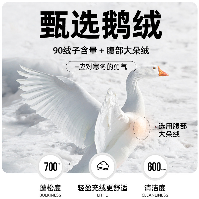 雅鹿男士鹅绒羽绒服2025冬季新款中长款中年加厚爸爸冬装外套极寒