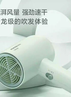 博锐吹风机家用护发速干电吹风宿舍用学生大风力吹风筒PH1622