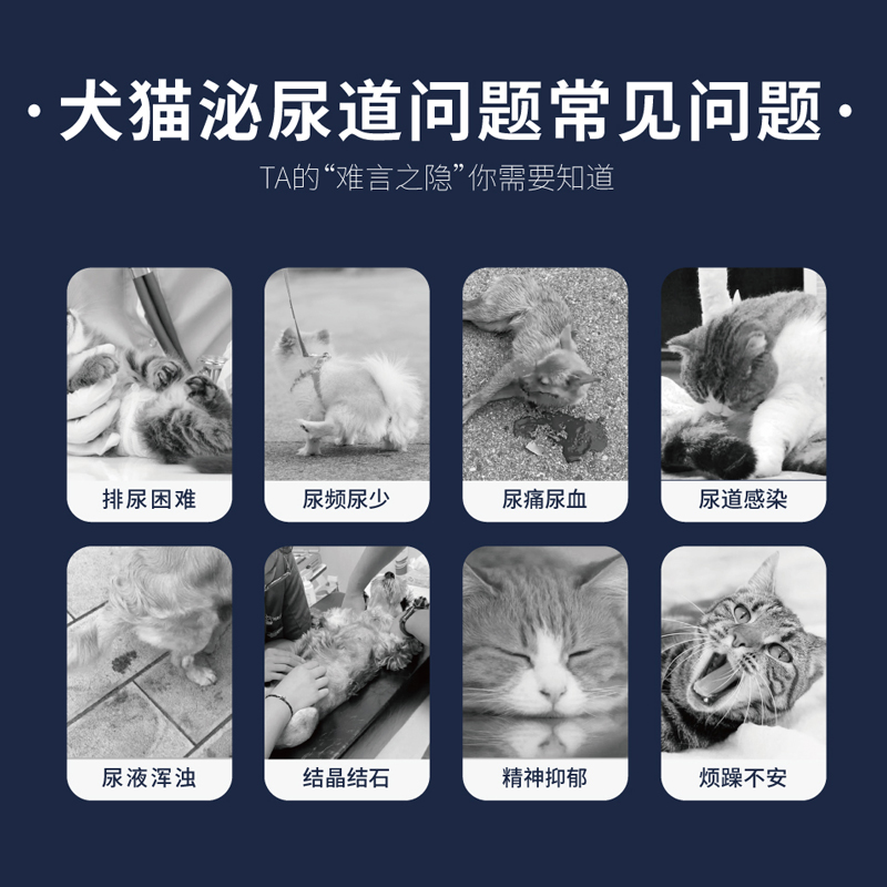 singenvet泌尿益宠物营养补充剂呵护泌尿系统膀胱泌尿犬猫通用