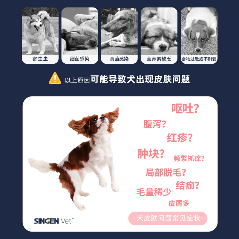 singenvet信元全价处方犬粮呵护皮毛狗狗皮肤处方狗粮VSD4 /1kg - 图1