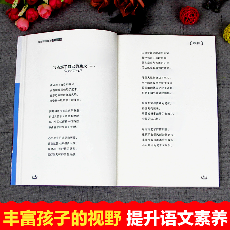 小学生现代诗合集四年级下册阅读课外书必读繁星春水冰心的书小学四下白桦关于植物的诗戴望舒诗集在天晴了的时候现代诗歌精选书籍