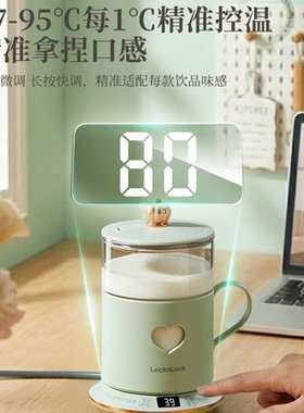 乐扣养生壶全玻璃办公室一人食