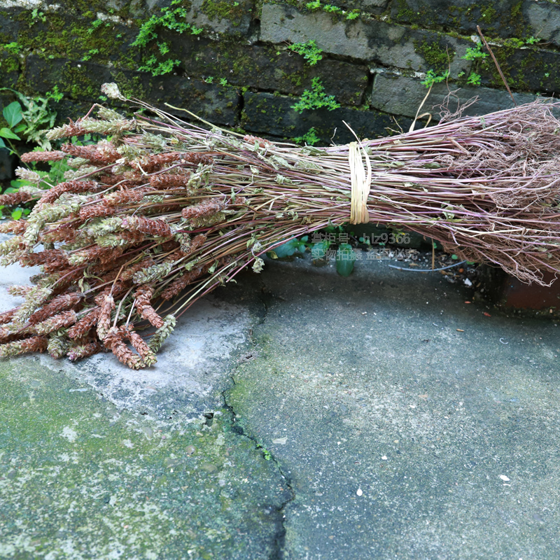 夏枯草深山农家原料野外夏枯球全草整颗带根500g花茶解暑凉茶新货