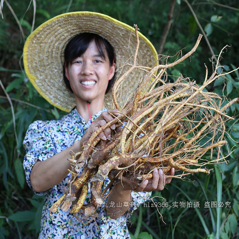 广东新鲜五指毛桃根现挖五爪龙营养炖汤材料煲汤食材土茯苓牛大力