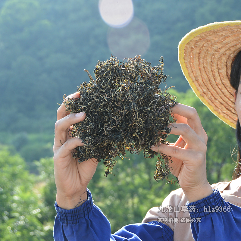 蒲公英茶野外干货药材500g婆婆丁农家新茶无硫泡茶夏枯草凉茶正品