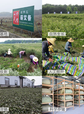 师傅手工蕲艾条10支装三年