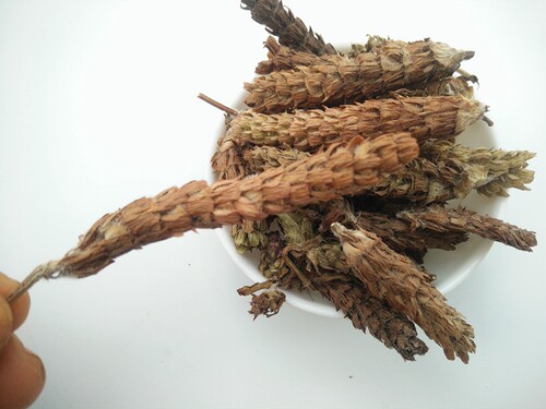 夏枯草中药材夏枯球野生新鲜中草药夏菇球草 夏茹球500克2斤包邮 - 图1
