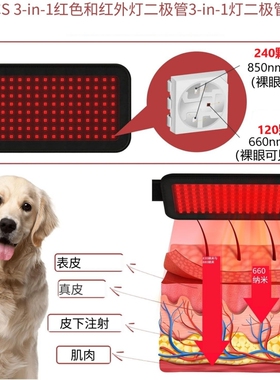 红光宠物红外线光疗理疗垫大排灯