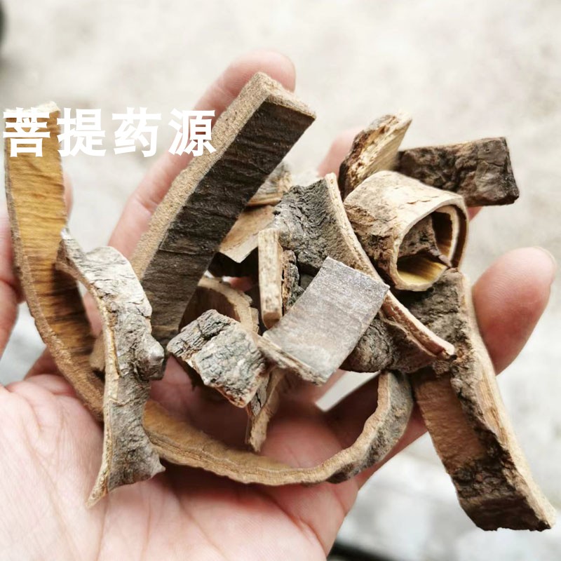 中药材海桐皮接骨药刺桐皮丁皮鼓桐皮钉桐皮刺通中草药500g克包邮 - 图0