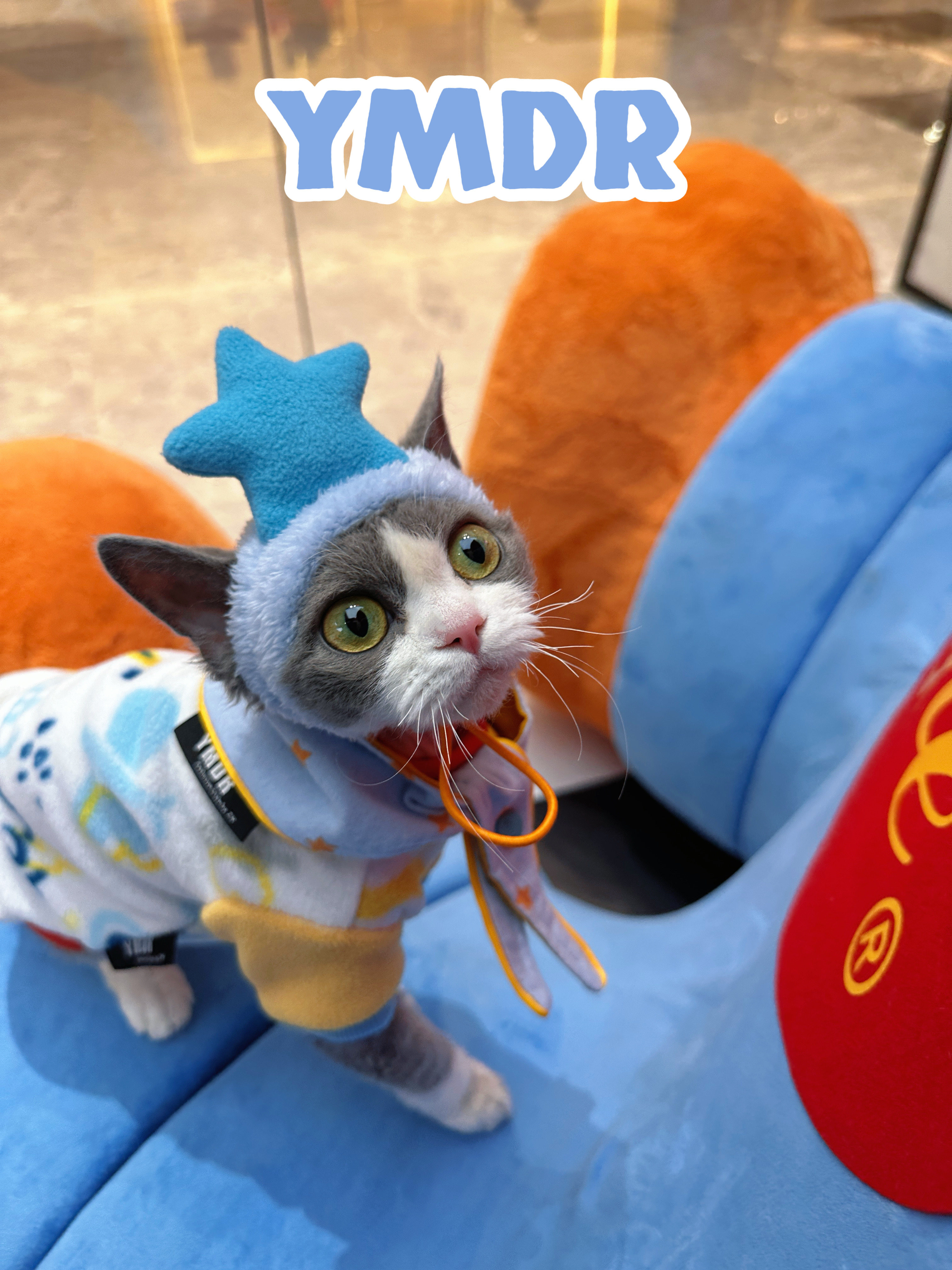 YMDR原创德文帽子德文衣服秋冬款可爱卡通厚摇粒绒T恤星配饰套装,淘宝优惠券,粉丝福利购,淘宝优惠卷