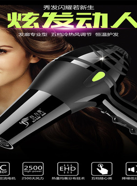 护静音冷热风大功率HairDryer