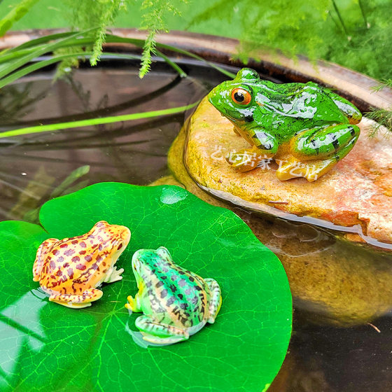 Micro landscape creative simulation frog small ornaments