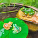 Micro landscape creative simulation frog small ornaments