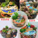 The cement garden has beautiful shape and breathable material