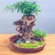 Resin has a unique pastoral shape and durable material