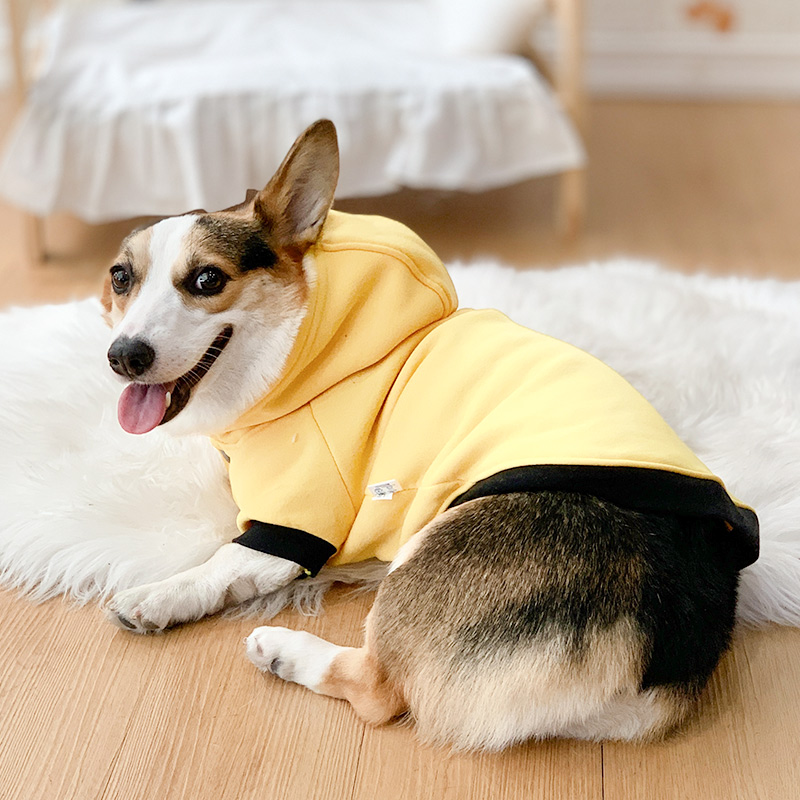 柯基犬衣服开衫卫衣柴犬腊肠冬季防掉毛小型中型犬宠物狗狗秋冬装 - 图2