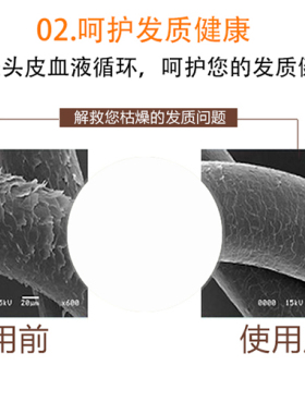 理发店焗油机美发发廊发廊专用