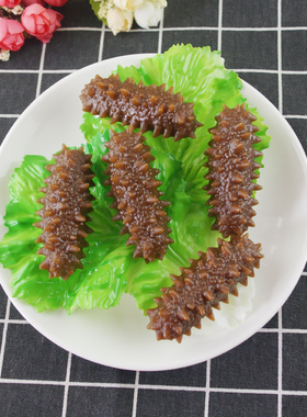 仿真海参模型装饰道具菜品摆件