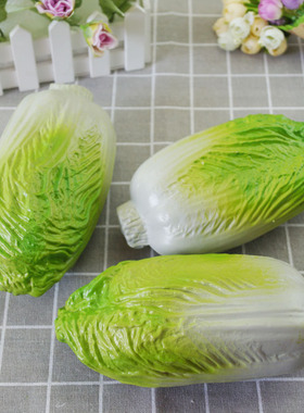 塑料包菜橱柜装饰摄影摆设模型