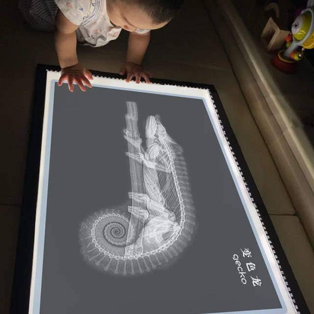Kindergarten early education Montessori Reggio light and shadow X-ray film ring creation self-made educational toys science area corner area