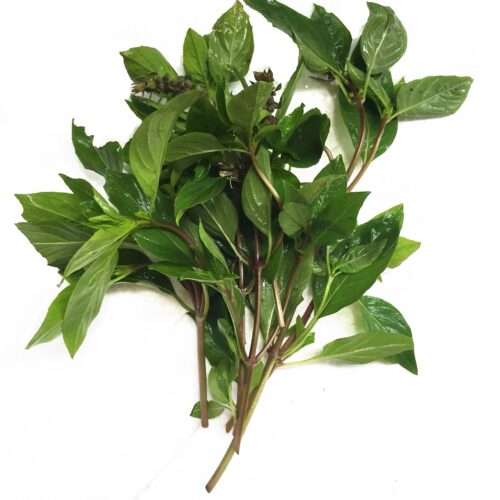 冬阴功汤料新鲜金不换新鲜罗勒叶九层塔basil 西餐香料 新鲜直发 - 图3