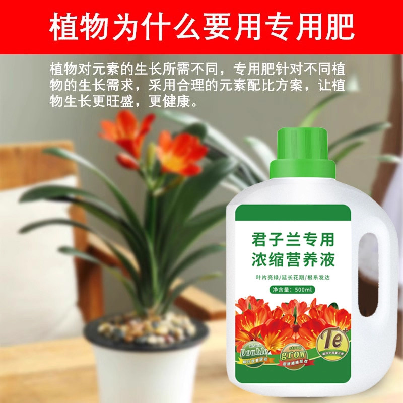 君子兰肥料专用营养液开花素治不开花拔剑促箭剂爆芽催花免稀释肥,淘宝优惠券,粉丝福利购,淘宝优惠卷