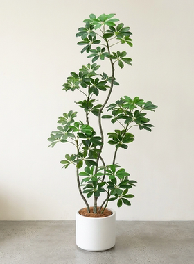 仿真绿植盆栽室内装饰摆件