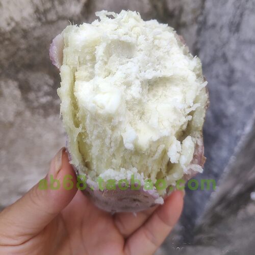 新鲜板栗红薯 高州爆皮王番薯白心面包王粉糯番薯白肉干面地瓜5斤 - 图1