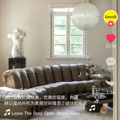 意式极简DS600弧S蛇形真皮沙发林四月同款黑色客厅中古模块大平层 - 图1