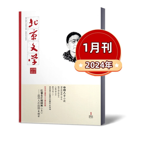 北京文学精彩阅读杂志2026年1/2月+2025年全年+2024年全年+2023年/2022年/年可选 文学选刊阅读期刊杂志 - 图2
